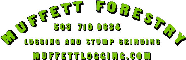 Ben Muffett Forestry - Forestry (683x283)