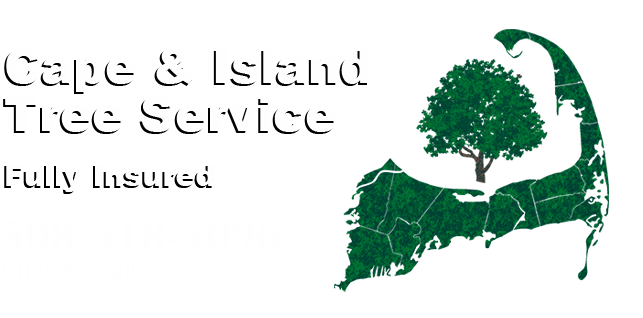 Cape Cod Outline Map (664x317)