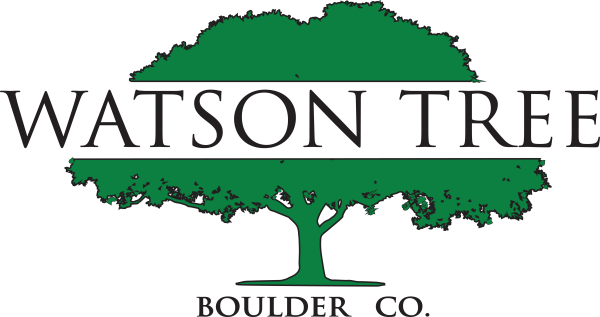 University Of Central Missouri (600x317)