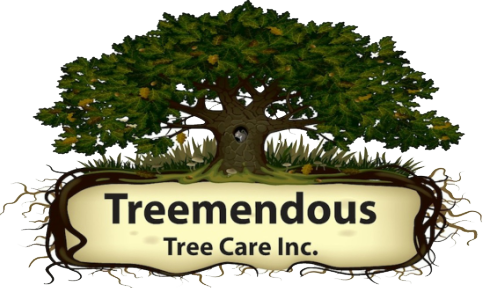 Tree Services In Delaware - Delaware (484x288)