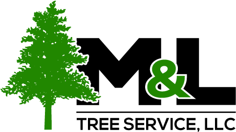 M & L Tree Services - Tree Silhouette Clip Art (500x300)