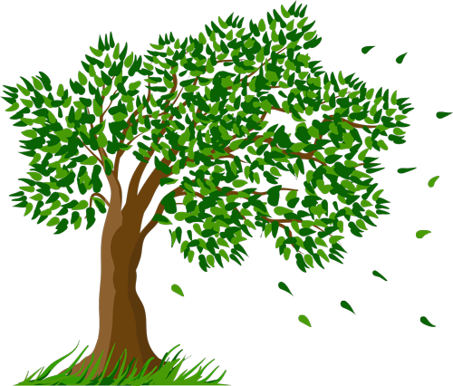 Clipart Transparent Background Tree (500x426)