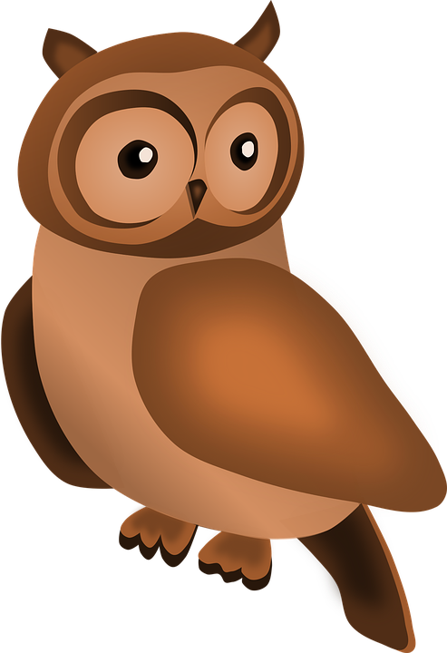 Bird, Owl, Statuette, Wooden - Peace Love Owls Shower Curtain (493x720)