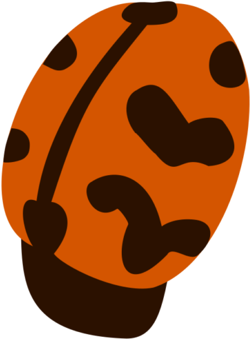 Ladybug - Ladybird Beetle (550x550)