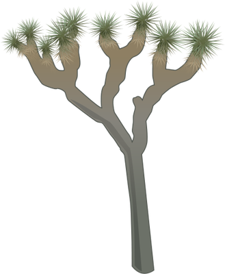 Joshua Tree Clipart - Joshua Tree (329x400)