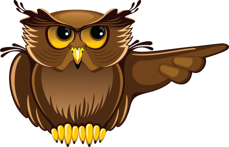 Owl Student Teacher Clip Art - Owl Student Teacher Clip Art (800x514)