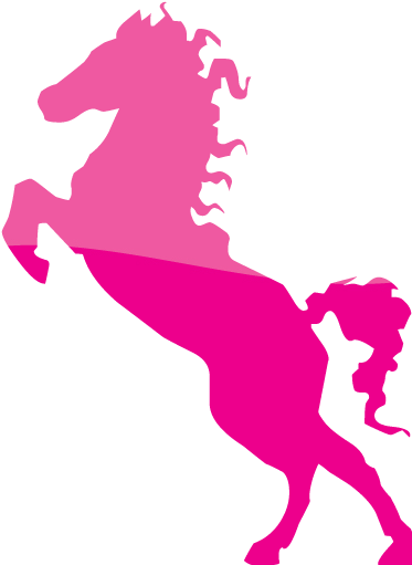 Web 2 Deep Pink Stallion Icon - Qarabağ Fk (512x512)