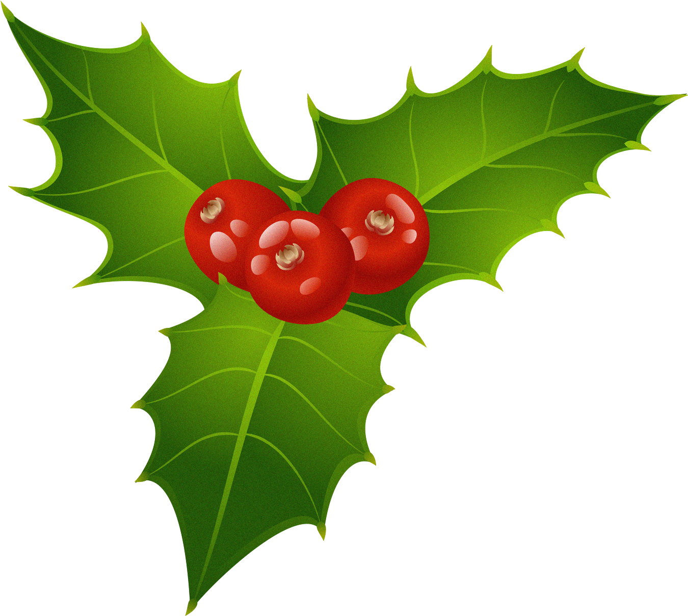 Christmas Mistletoe Png Clipart - Mistletoe Clipart (1392x1248)