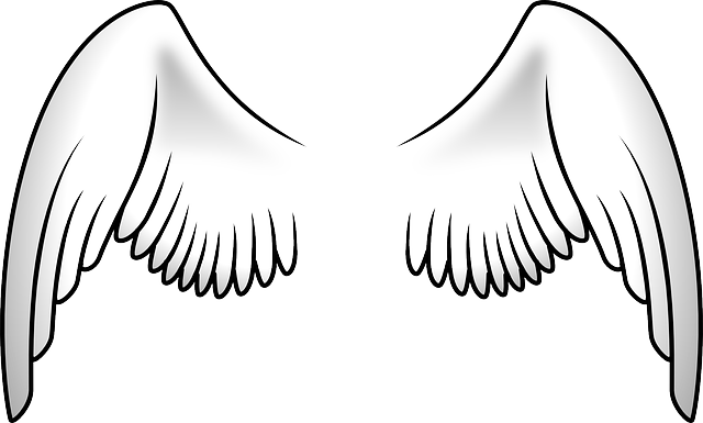 Kostenloses Bild Auf Pixabay - Angel Wings Transparent Background (640x385)