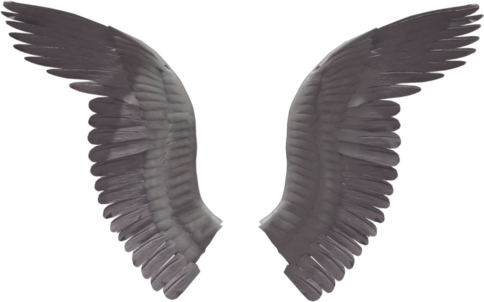 Wings Png - 7 1 4 Metal Cutting Blade (1024x639)
