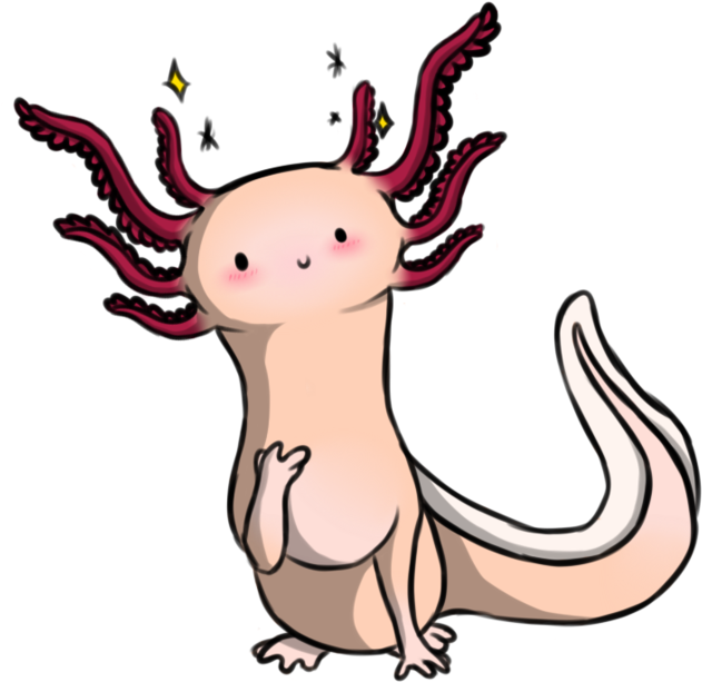 The Cute Axolotl By Ariaangelwing - Drawing (894x894)