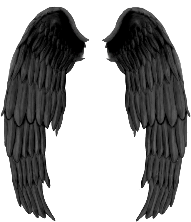 Black Evil Wings Png - Alas De Angel Negras (738x799)
