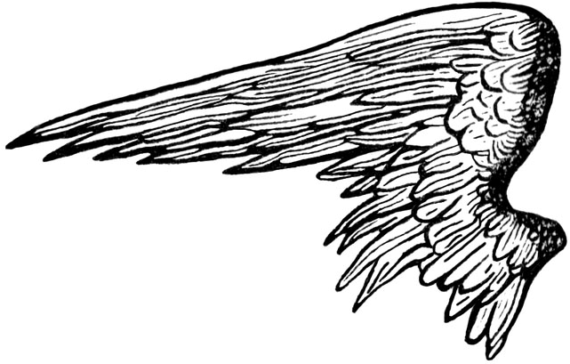 Angel Wings Png Clipart Photo Angel Wi - Angel Wings Shower Curtain (650x422)