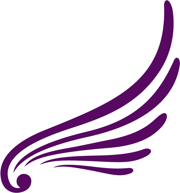 Wings Clipart Purple Angel - Angel Wings Logo Png (678x678)