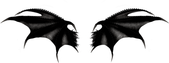 Haunted Black Wings Png Clipart - Black Wings Clip Art (600x234)