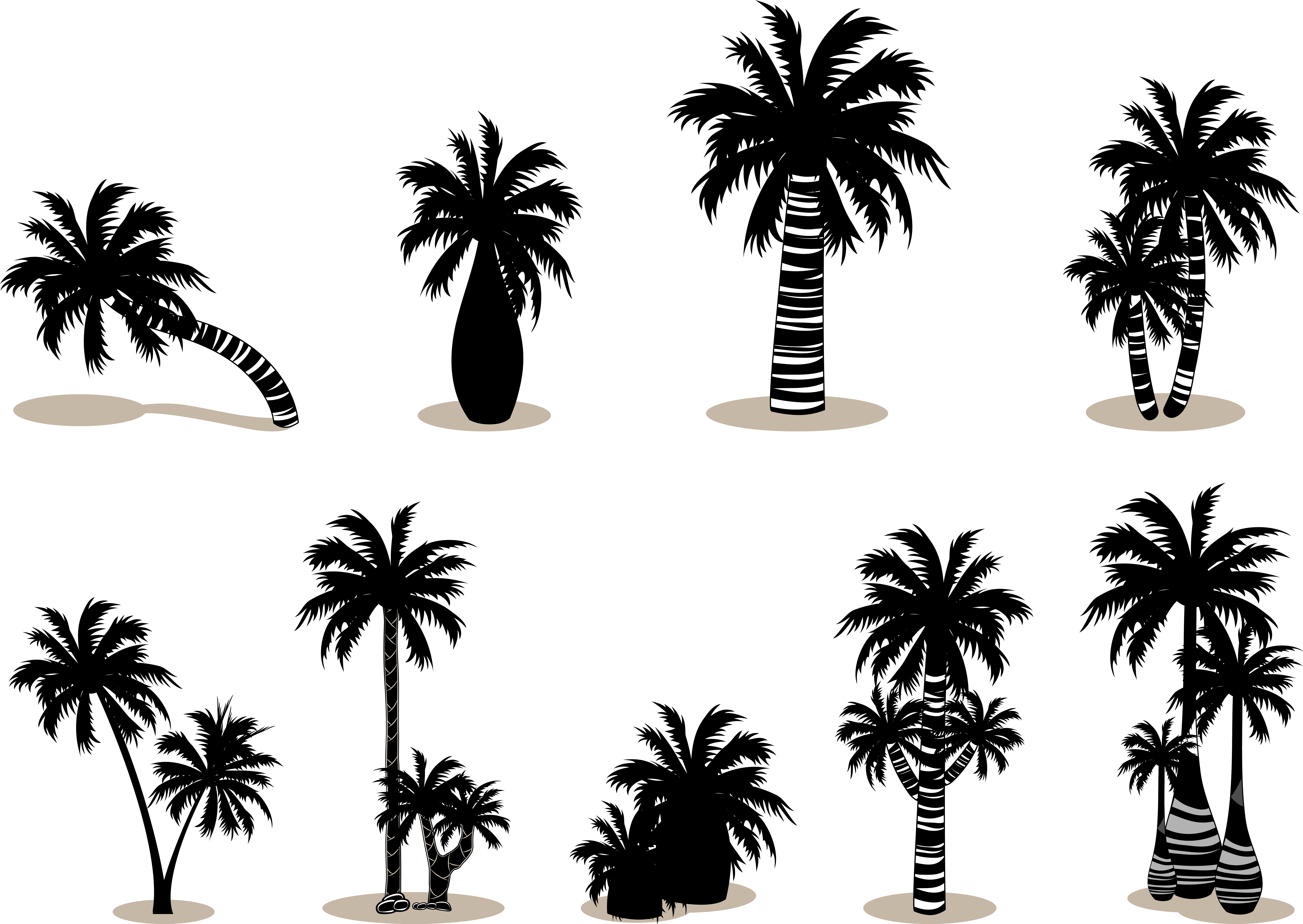 Arecaceae Silhouette Scalable Vector Graphics - Arecaceae Silhouette Scalable Vector Graphics (8358x5927)