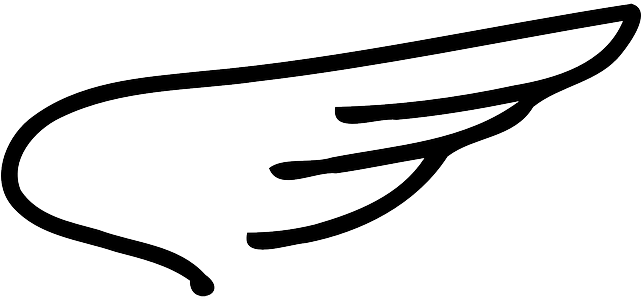 Flying Angel, Wing, Flying - Wing Clipart (640x320)