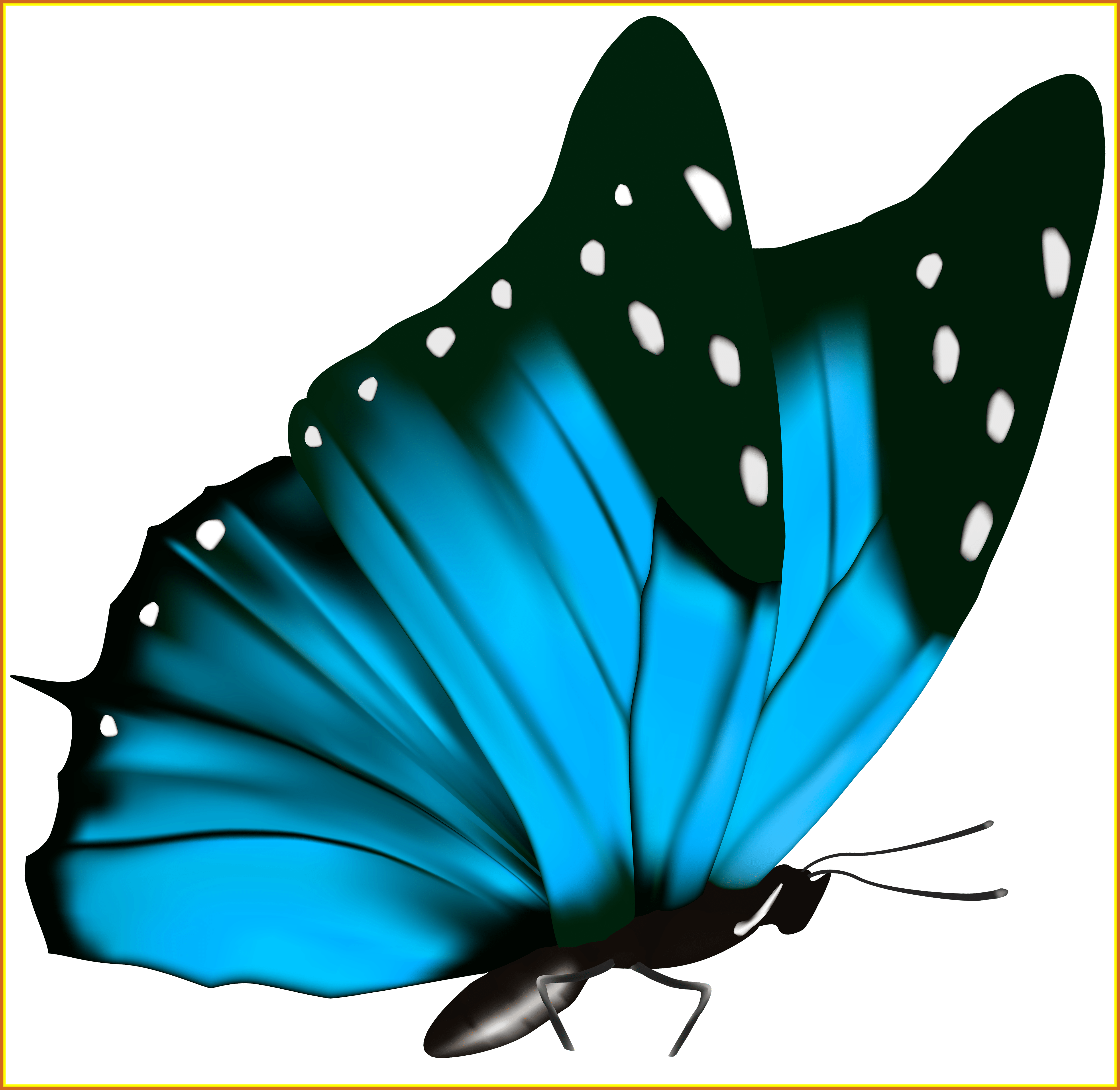 Blue Butterfly Transparent (5050x4914)