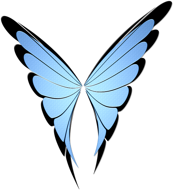 Blue Butterfly Images 29, Buy Clip Art - Coloring Book For Grown Ups: Pictures Of Birds, Animals, (668x720)