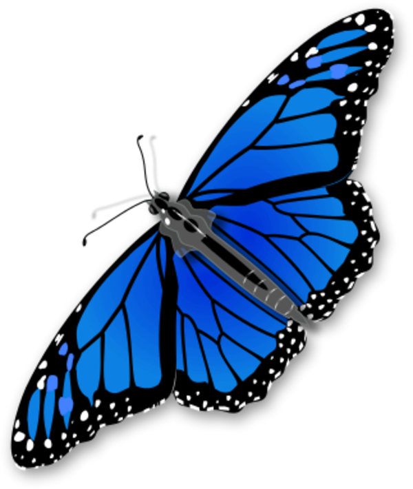 Monarch Butterfly Clipart - Monarch Butterfly (600x710)