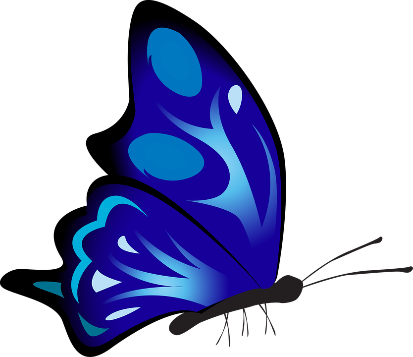 Purple Butterfly Cliparts 23, Buy Clip Art - Kupu Kupu Warna Warni Png (834x720)