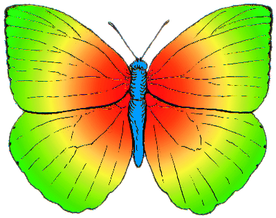 Colors Of Butterfly - Colored Butterfly (424x322)