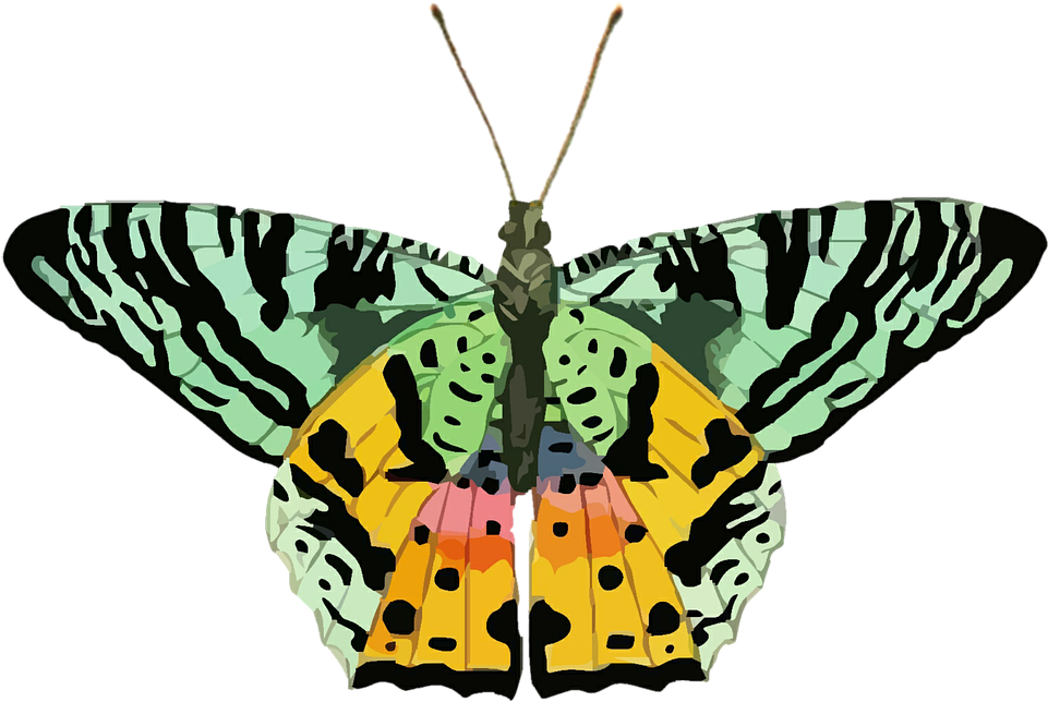 Nature Clipart Butterfly - Yellow Green Butterfly Png (960x688)