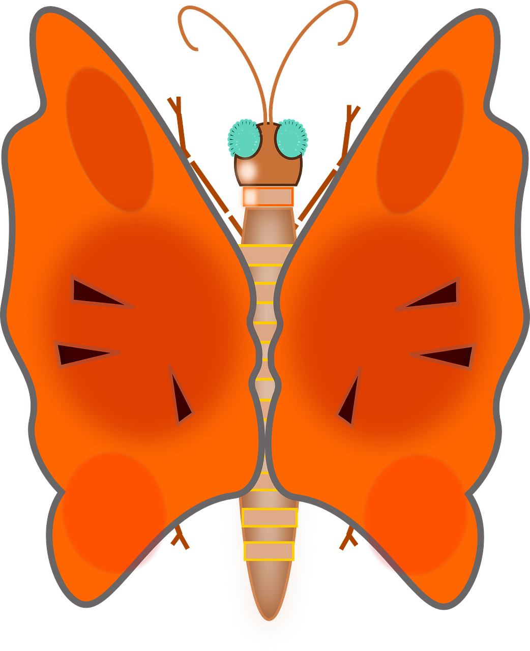 Butterfly Lovely Colors Bug Png Image - Butterfly Lovely Colors Bug Png Image (1042x1280)