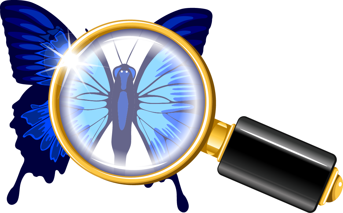 Butterfly Magnifying Glass Euclidean Vector Illustration - Butterfly Magnifying Glass Euclidean Vector Illustration (1122x697)