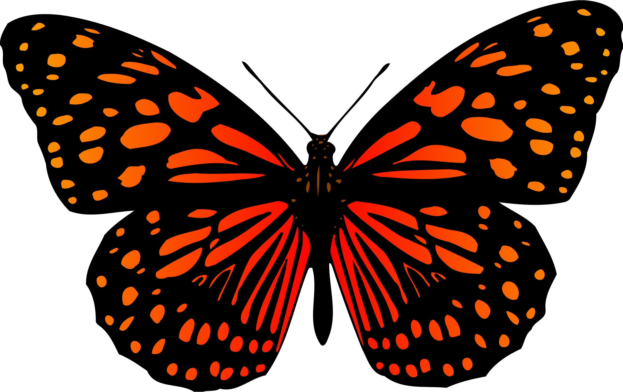 Butterfly 17 - Butterfly (2400x1512)