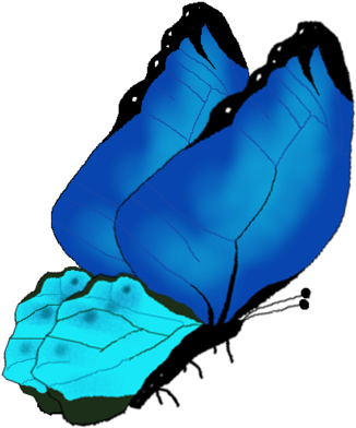 The Blue Butterfly By Flowereagletale The Blue Butterfly - Adidas (1024x942)