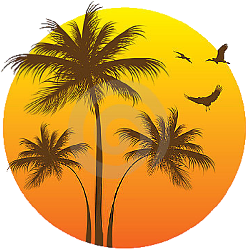 Asian Palmyra Palm Arecaceae Computer Icons Coconut - Asian Palmyra Palm Arecaceae Computer Icons Coconut (512x512)