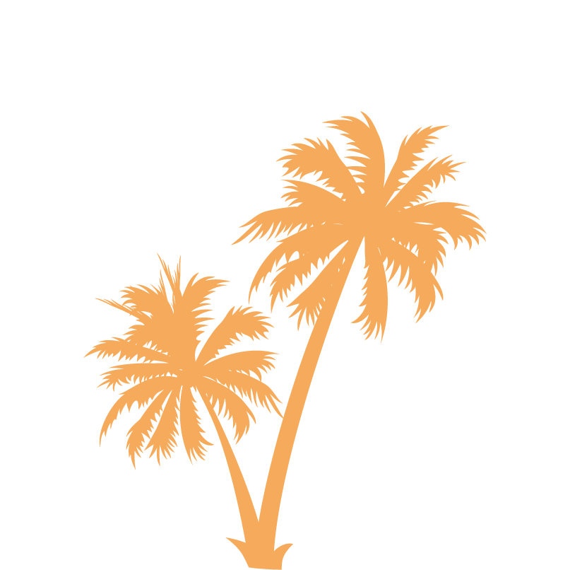 Arecaceae Silhouette Clip Art - Arecaceae Silhouette Clip Art (807x806)