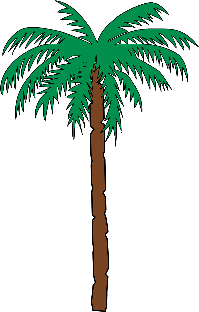 Palm Tree Date Tropical Green Png Image - Haiti Coat Of Arms (816x1280)