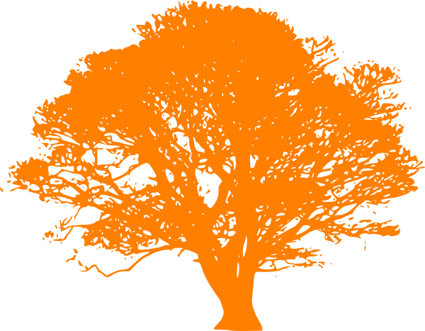 Cartoon Orange Tree - Oak Tree Silhouette Clip Art (600x467)