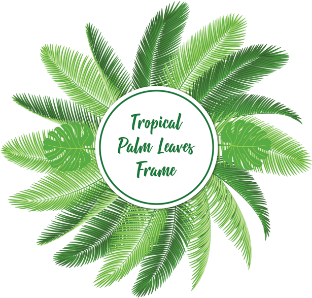 Tropical Palm Leaves Frame With Typography, Tropical, - Tropics (640x640)