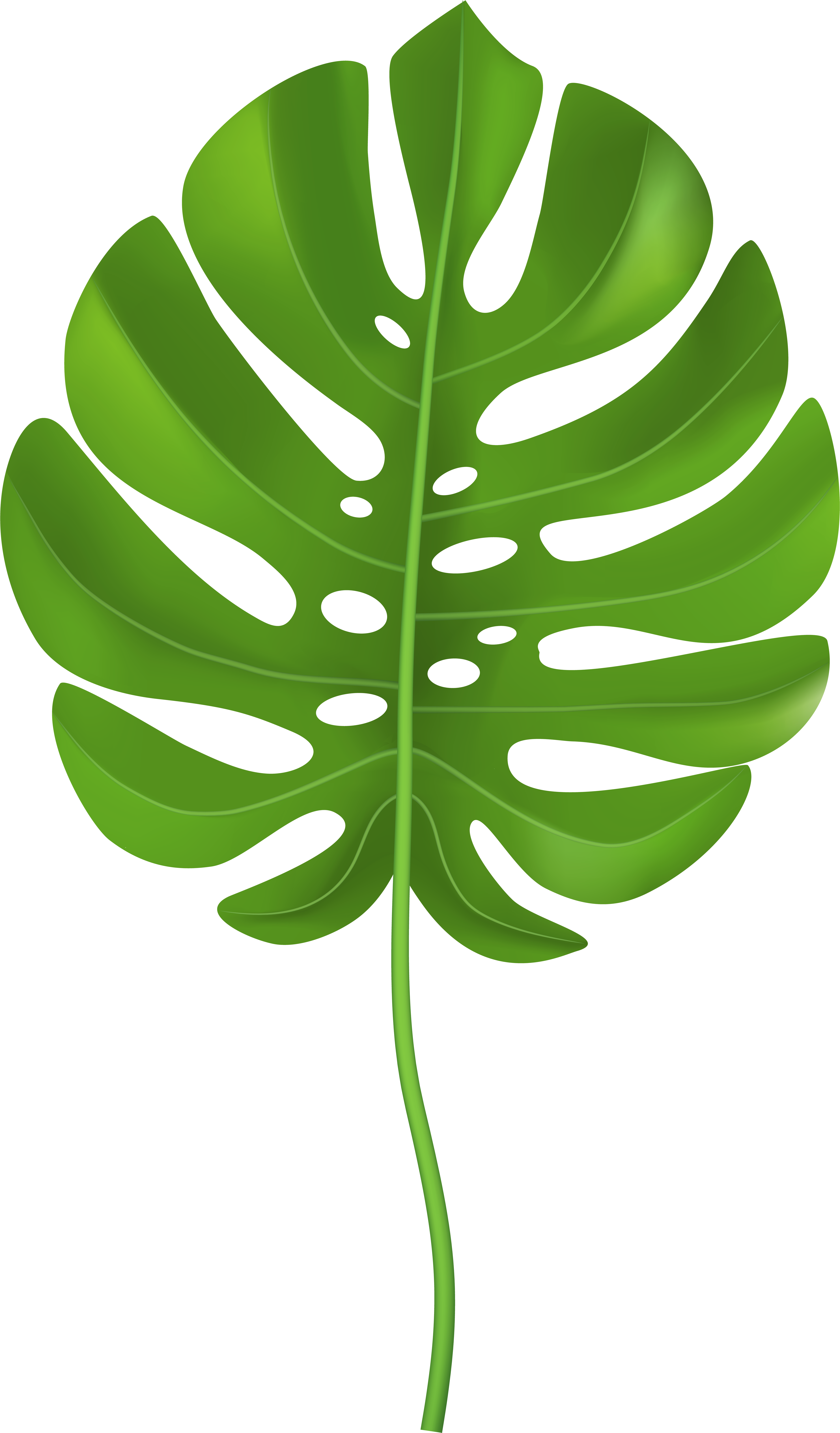 Tropical Palm Leaf Transparent Png Clip Art Image - Tropical Leaf Clip Art Png (4727x8000)
