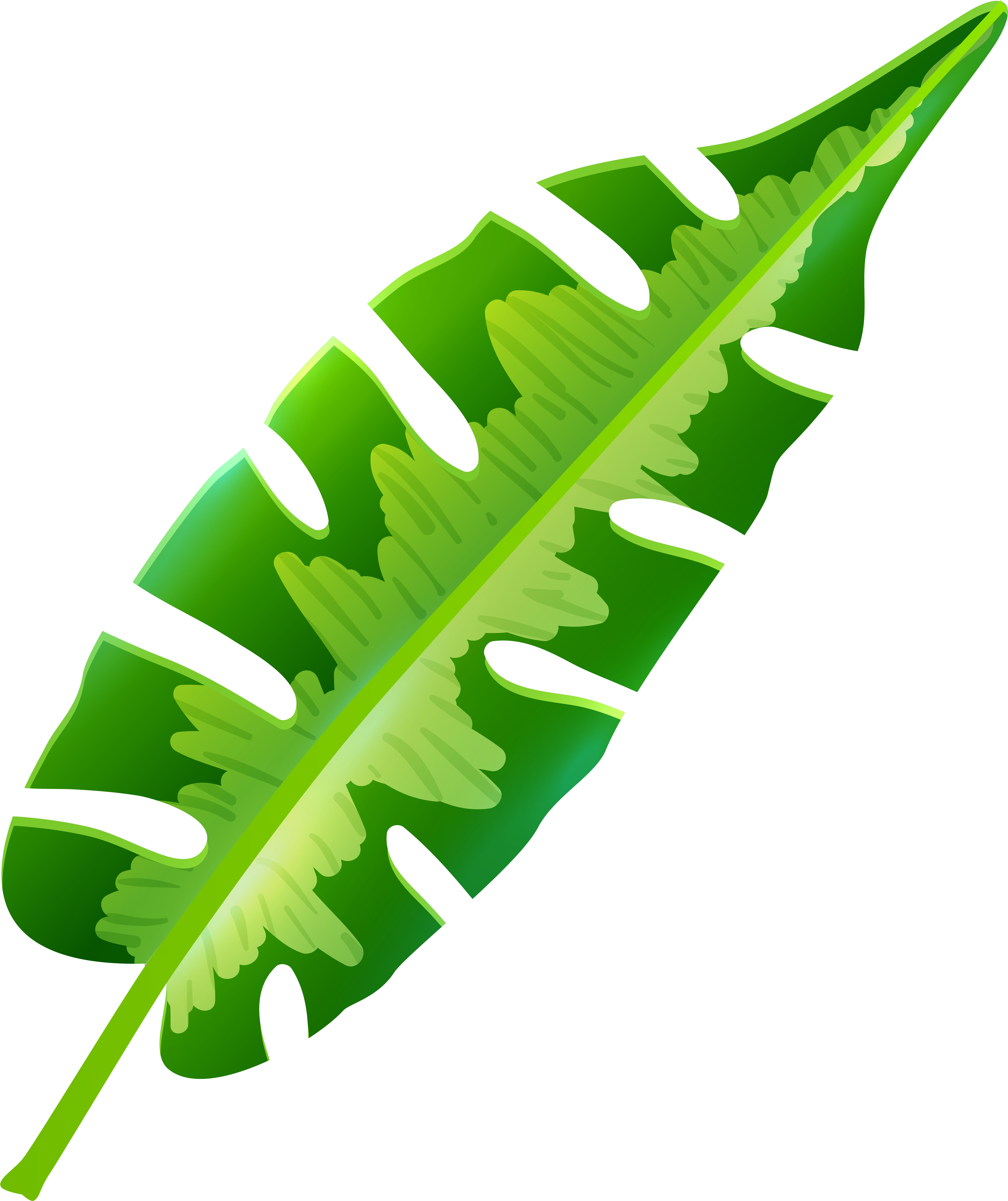 Image Gallery Of Tropical Leaf Clip Art - Image Gallery Of Tropical Leaf Clip Art (6775x8000)