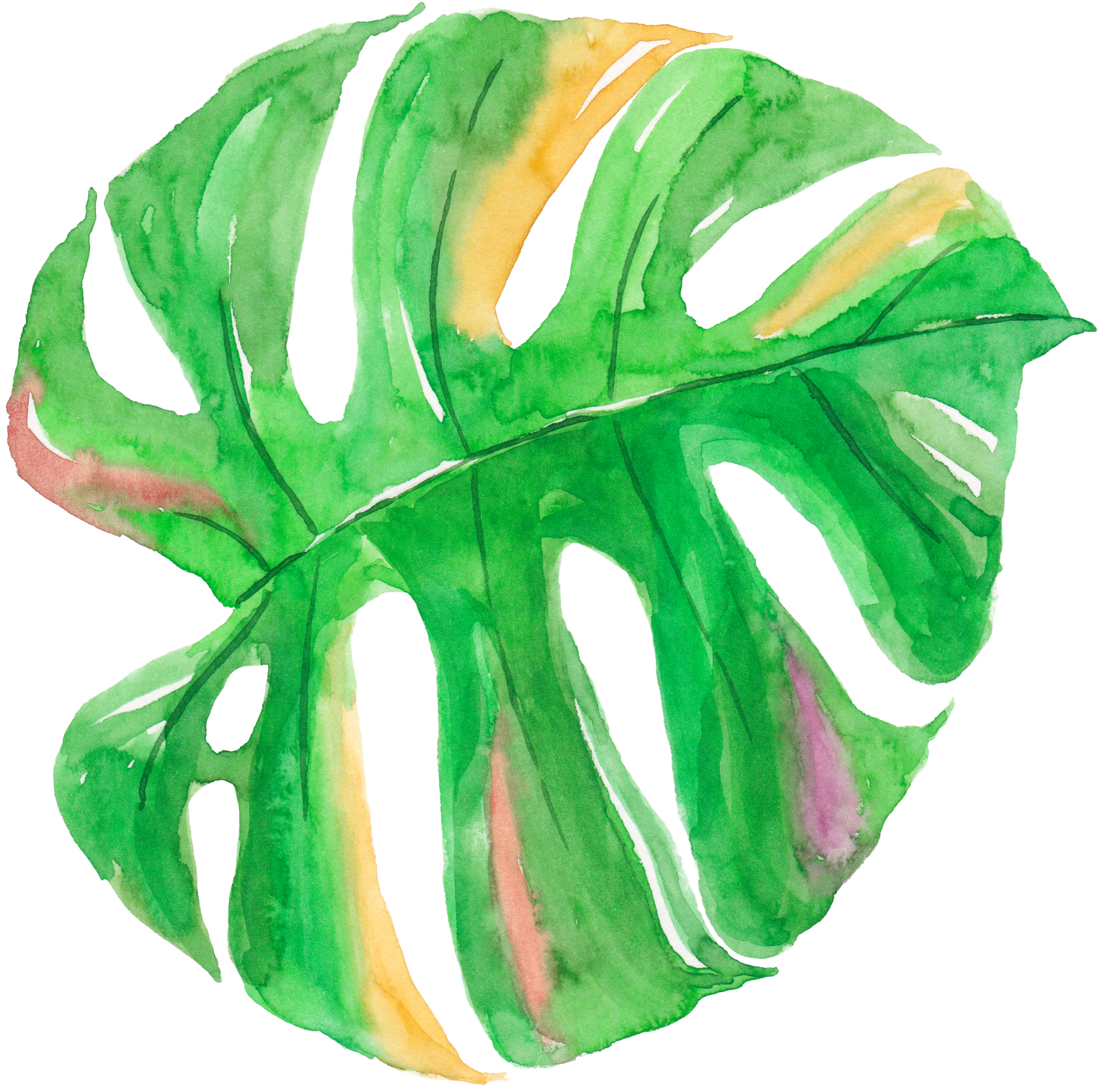 Leaf Watercolor Painting Canvas - Leaves Watercolor Tropical Leaves Png (3081x2990)