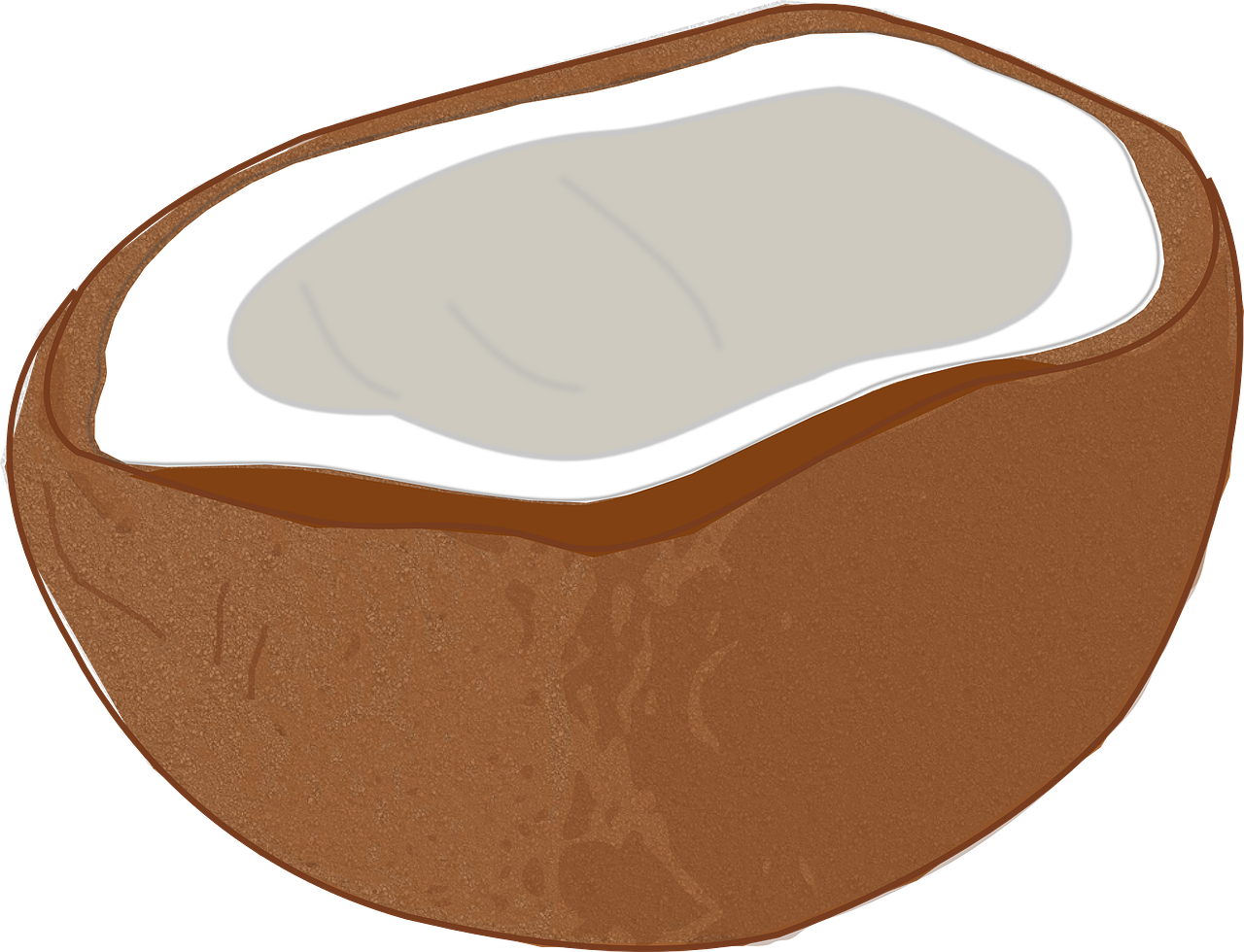 Coconut, Coco, Tropical, White, Nut, Exotic, Palm - Clip Art (1280x980)