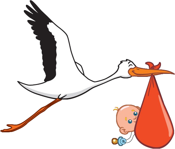Stork Carrying Baby Boy - Newborn Stork (600x600)