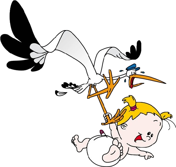 Stork Carrying Baby Girl Clip Art 1358901 - Stork And Baby Funny (600x600)