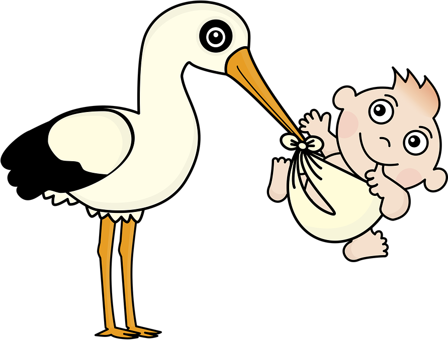 Stork Baby Child Â - Nacimiento Png (890x720)