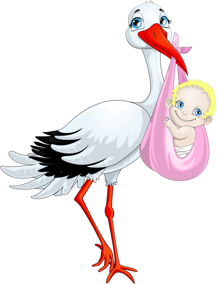 Album - Vector Graphics (842x1024)