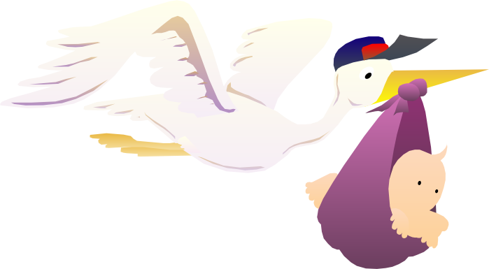 Stork Delivering Baby - Stork Carrying Baby Yard Sign (699x385)