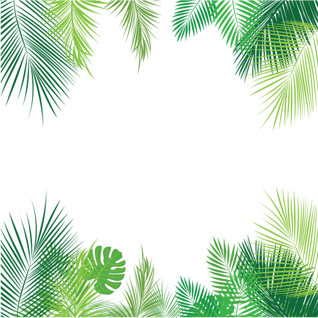 Tropical Palm Leaves Png, Palm, Tropical Leaves, Leaves - Tropical Jungle Background (640x640)