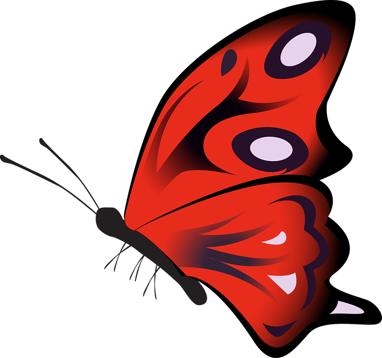 Red Butterfly Cliparts 14, - Butterfly Red Png (767x720)