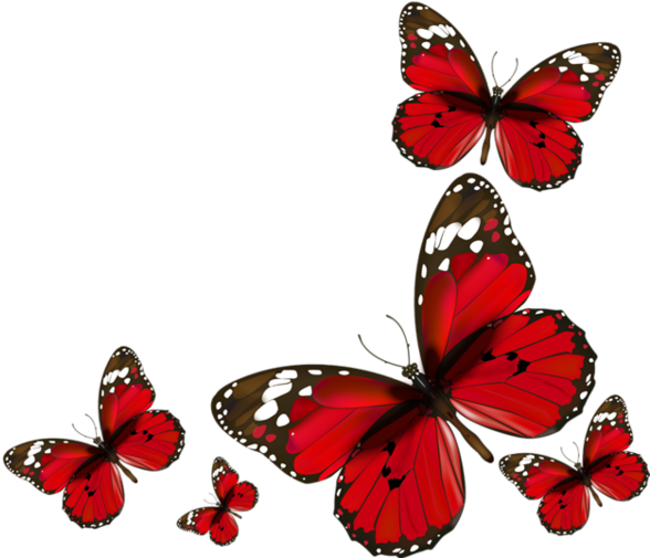 Papillons Red Butterflies Png - Red Butterflies Png (600x512)