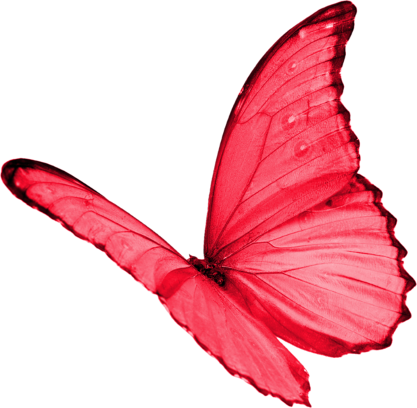 Papillon Clipart Red Butterfly - Red Butterfly Transparent (600x587)