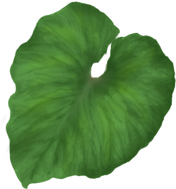 Green Leaf Png - Green Tropical Leaf Png (1024x768)